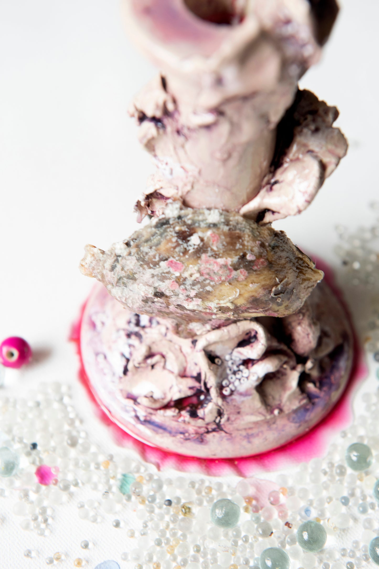 Sea Relics - Anatomy of the reef